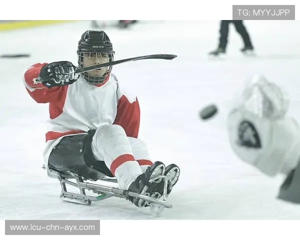 冰球奥韦奇金暴力射门破网,全队振奋