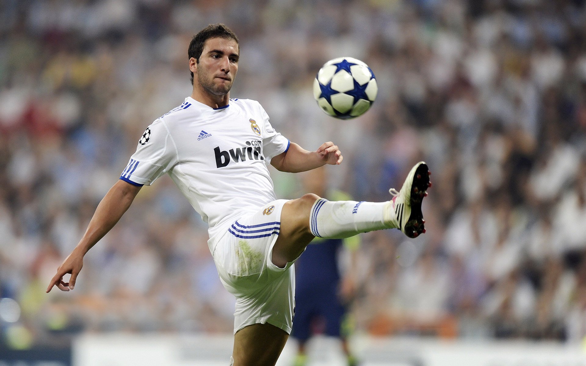 亚冠联赛中国足球惨败 球迷呼吁加强后防线，亚冠中国球队怎么回事